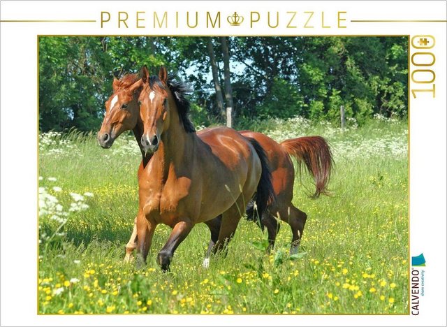CALVENDO Puzzle CALVENDO Puzzle Pferde - Kameraden mit vier Hufen 1000 Teile Lege-Größe 64 x 48 cm Foto-Puzzle Bild von ella, 1000 Puzzleteile