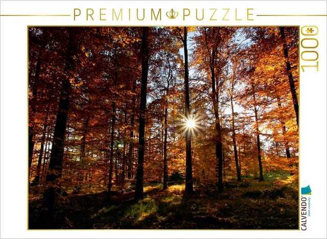 CALVENDO Puzzle CALVENDO Puzzle Sonnenstrahlen im herbstlichen Wald 1000 Teile Lege-Größe 64 x 48 cm Foto-Puzzle Bild von Martina Cross, 1000 Puzzleteile