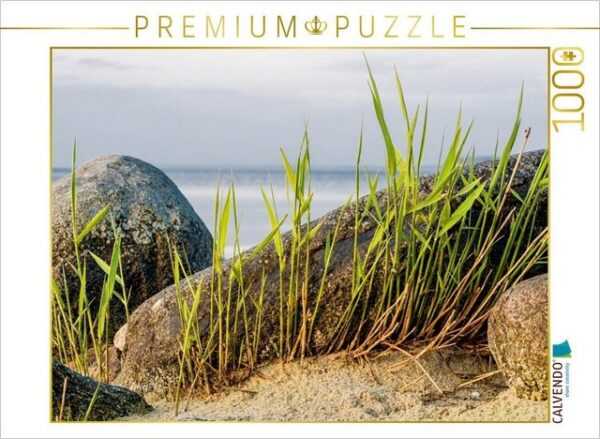 CALVENDO Puzzle CALVENDO Puzzle Steine und Schilfgras 1000 Teile Lege-Größe 64 x 48 cm Foto-Puzzle Bild von Rico Ködder, 1000 Puzzleteile