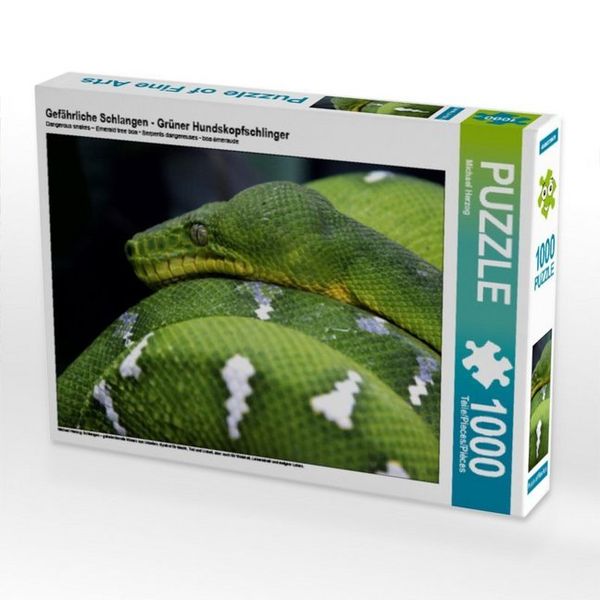 CALVENDO Puzzle Gefährliche Schlangen - Grüner Hundskopfschlinger 1000 Teile Lege-Größe 64 x 48 cm Foto-Puzzle Bild von Michael Herzog