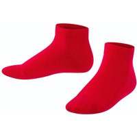 Falke Kinder Sneaker Socken Family