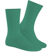 HUDSON Herren RELAX COTTON –  41/42 – Herren Baumwollsocken ohne Gummi – Bamboo (Grün)