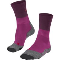 FALKE Wandersocken TK2 Explore (1-Paar) hoher Komfort im Mittelgebirge