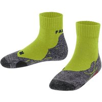 FALKE Wandersocken TK2 Short (1-Paar) mit mittelstarker Polsterung