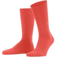 Burlington Socken Boston