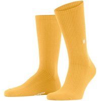 Burlington Socken Boston