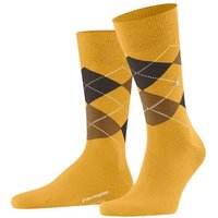 Burlington Businesssocken