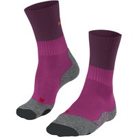 FALKE TK2 Trekkingsocken Damen radiant orchid 35-36