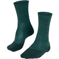 FALKE TK2 Wool Trekkingsocken holly 39-41