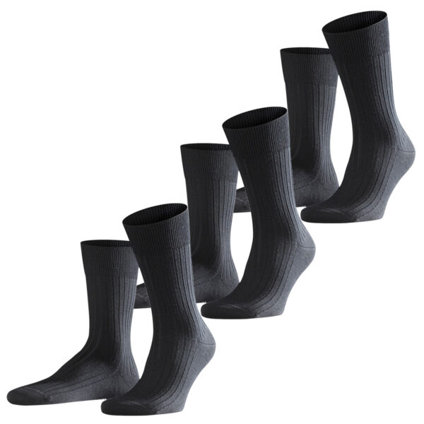 Falke Herren Socken Bristol Pure - 2er 3er 4er Multipack Hersteller: Falke Bestellnummer: