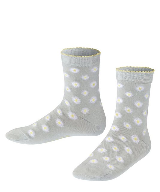 FALKE Basicsocken Hersteller: Falke Bestellnummer:4031309084824