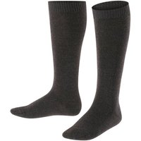 FALKE Kniestrümpfe Comfort Wool Baumwolle/Merinowolle-Mix