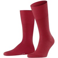 FALKE Socken Airport