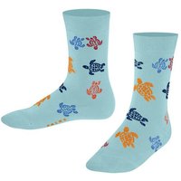 FALKE Socken FALKE x VILEBREQUIN