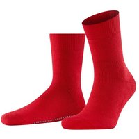 FALKE Socken Homepads